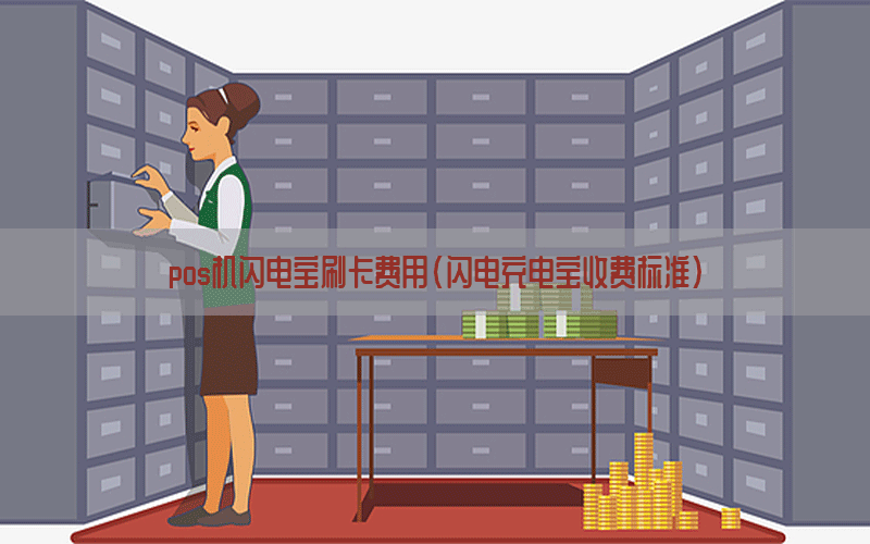 pos机闪电宝刷卡费用(闪电充电宝收费标准)