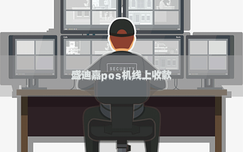盛迪嘉pos机线上收款