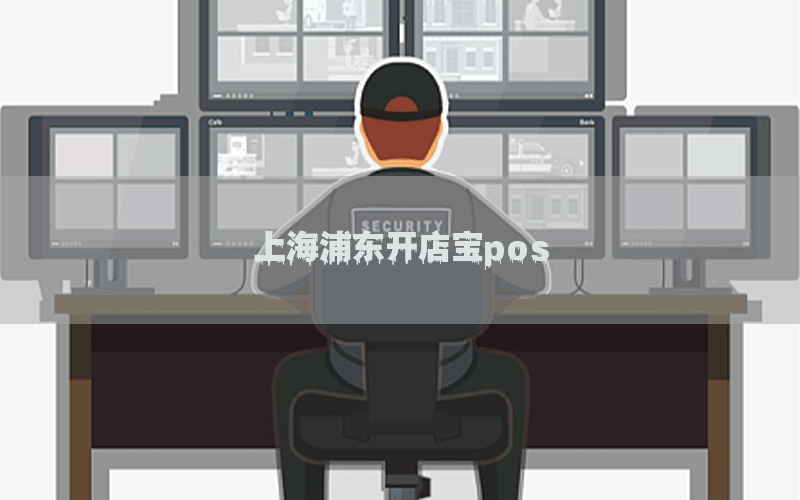 上海浦东开店宝pos