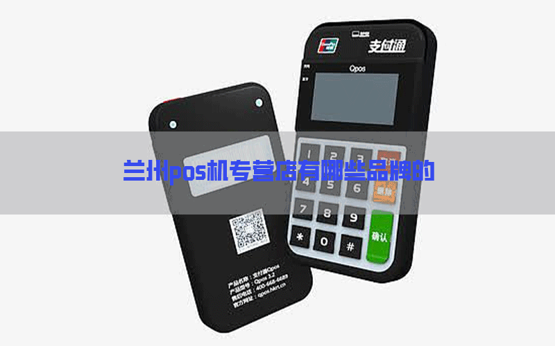 兰州pos机专营店有哪些品牌的