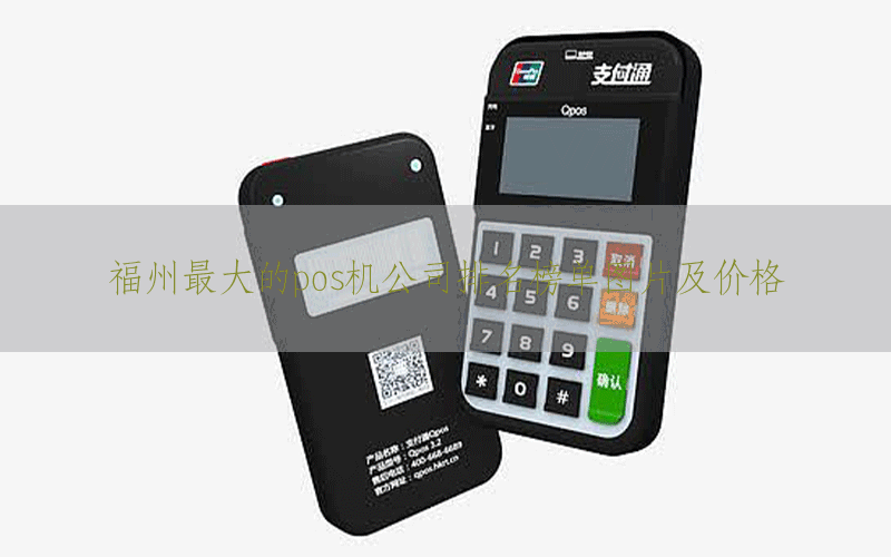 福州最大的pos机公司排名榜单图片及价格
