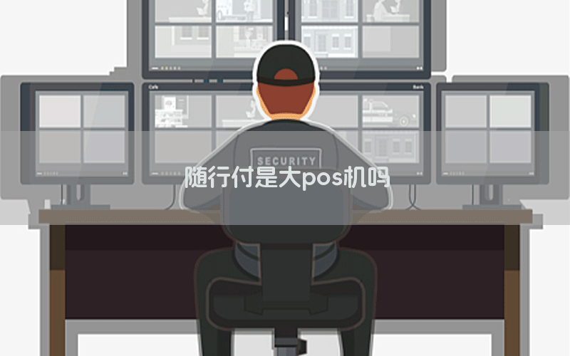 随行付是大pos机吗