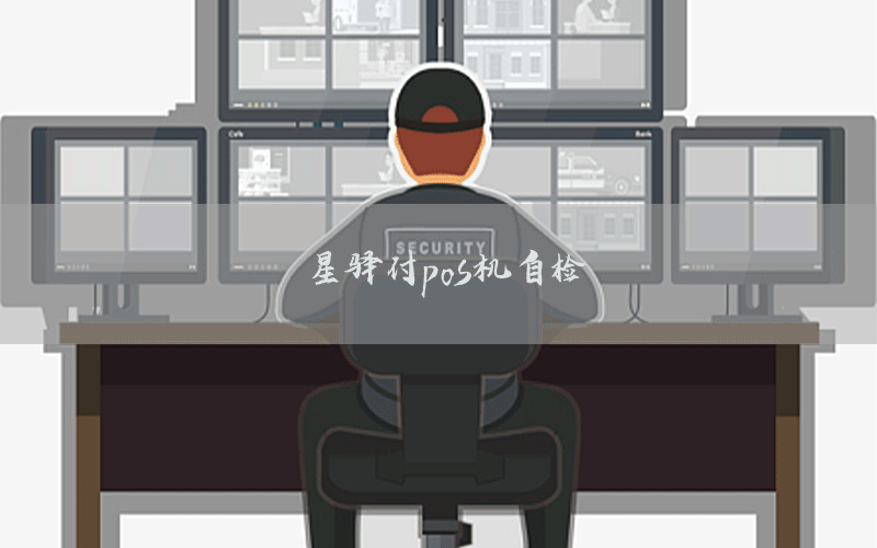 星驿付pos机自检