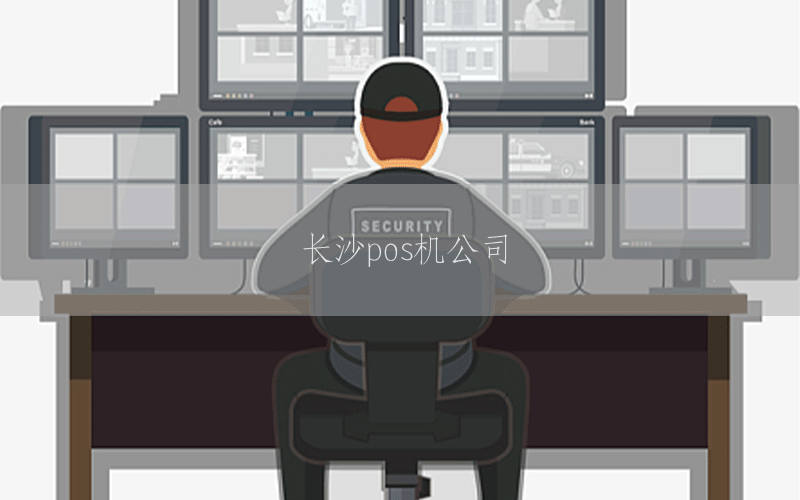 长沙pos机公司