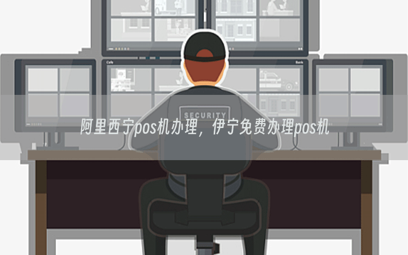 阿里西宁pos机办理，伊宁免费办理pos机