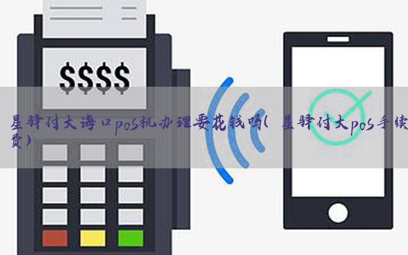 星驿付大海口pos机办理要花钱吗（星驿付大pos手续费）